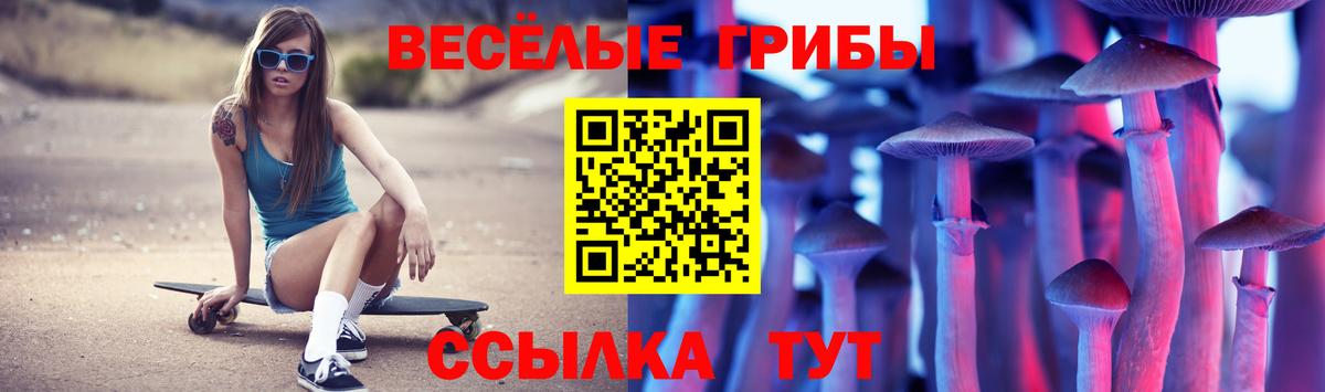 Курчалой  Псилоцибиновые грибы ЛСД  Вход с VPN 